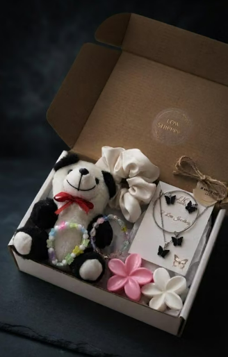 Aesthetic Gift Box Combo: Panda Toy, Butterfly Necklace, Bracelet, and Scrunchie Set